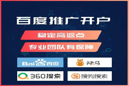 某电商平台的SEM策略与效果展示